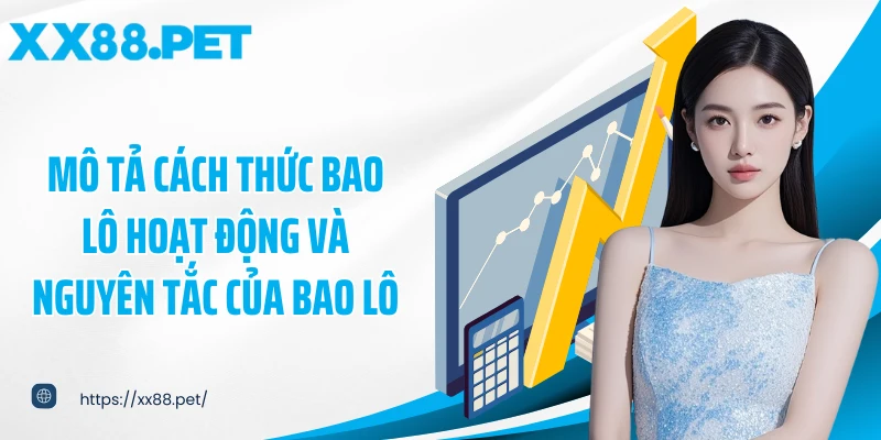Mô tả cách thức bao lô hoạt động và nguyên tắc của bao lô