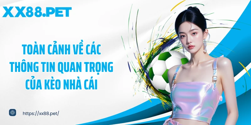 Toàn cảnh về các thông tin quan trọng của kèo nhà cái