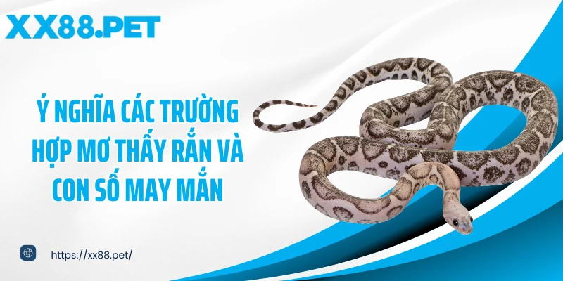 Ý nghĩa các trường hợp mơ thấy rắn và con số may mắn