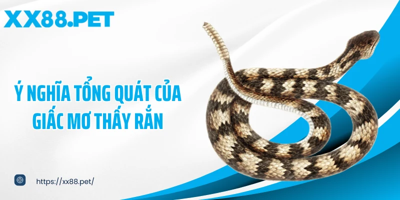 Ý nghĩa tổng quát của giấc mơ thấy rắn